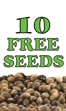 10 free seeds