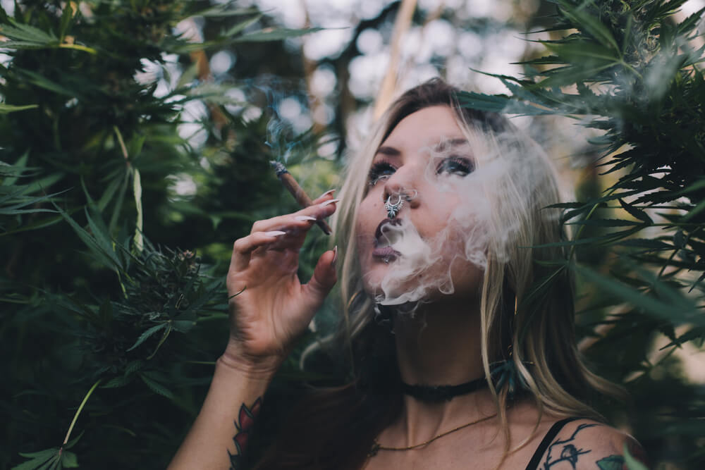 What every stoner should know