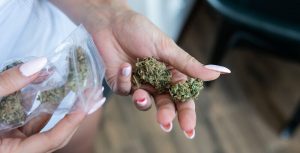 best weed strains of all time