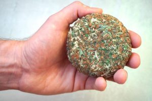 Brick Weed