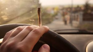 CBD and driving