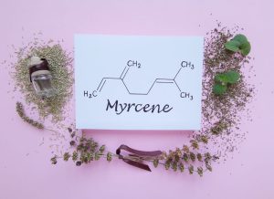 Understanding Myrcene Effects