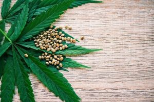High THCV Strains