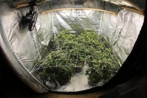 DIY grow tent ideas indoor
