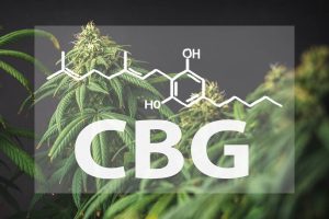 Everything You Need to Know About CBGA