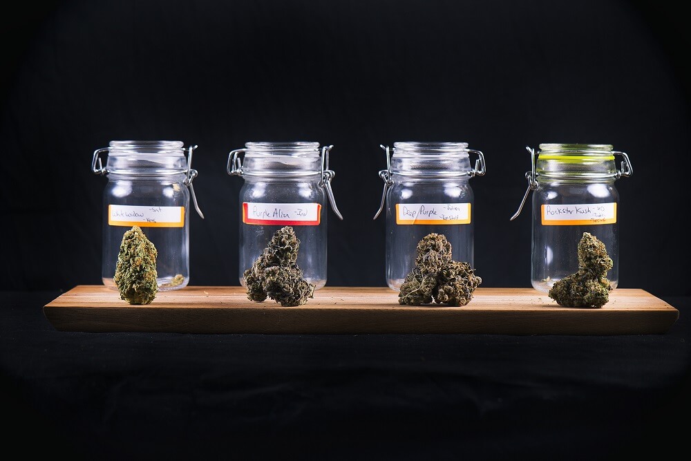 How to Get Rid of Weed Smell