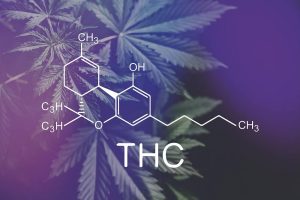 How to Get THC Out of Your System