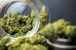How to Keep Weed Fresh