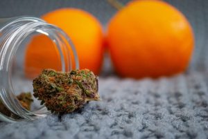 how to rehydrate your weed