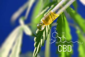 CBD Oil for Erectile Dysfunction