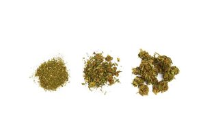 dry sifting cannabis