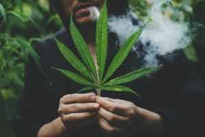 Vaping vs. Smoking Weed