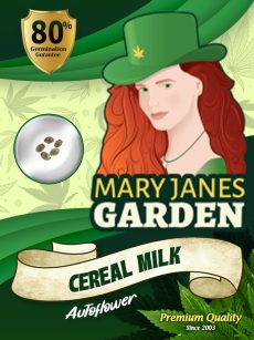 Cereal Milk Strain Autoflowering Feminized Marijuana Seeds