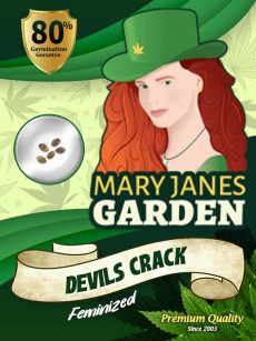 Devils Crack Fem