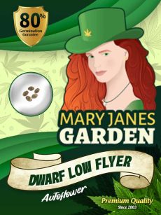 Dwarf Low Flyer