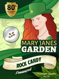 Rock Candy Fem