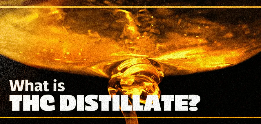 What is THC Distillate
