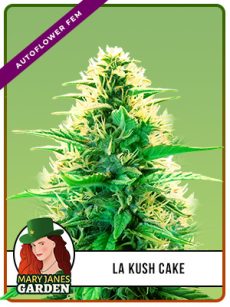 La Kush Cake