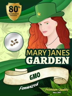 GMO Strain Feminized