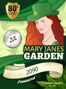 2090 Strain Feminized