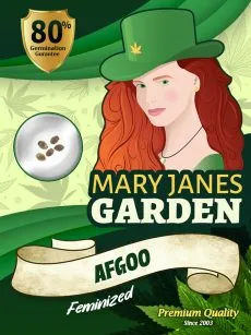 Afgoo Strain Feminized