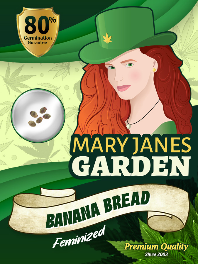 Banana Bread Strain Feminized Marijuana Seeds | Mary Jane's Garden