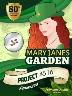 Project 4516 Strain Feminized