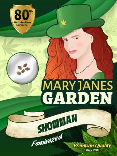 Snowman Strain Feminized