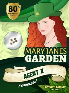 Agent X Strain Feminized