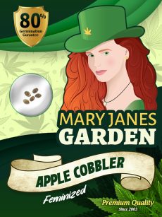 Apple Cobbler Strain Feminized