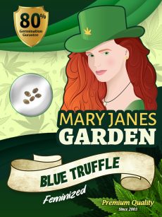 Blue Truffle Strain Feminized