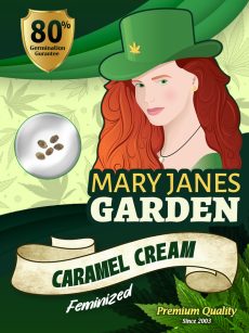 Caramel Cream Strain Feminized