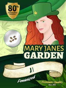J1 Strain Feminized