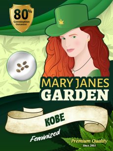 Kobe Strain Feminized