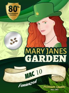 Mac 10 Strain Feminized