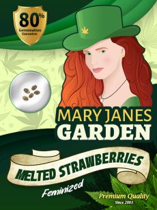 Melted Strawberries Strain Feminized