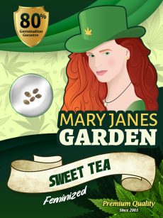 Sweet Tea Strain Feminized