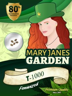 T-1000 Strain Feminized