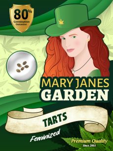 Tarts Strain Feminized