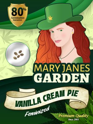 Vanilla Cream Pie Strain Feminized Marijuana Seeds | Mary Jane's Garden