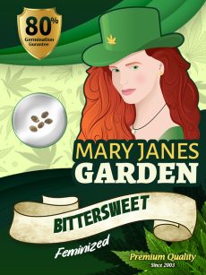 Bittersweet Strain Feminized