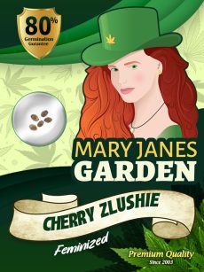 Cherry Zlushie Strain Feminized