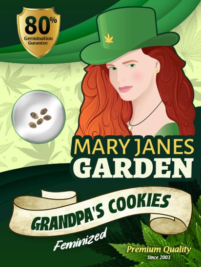 Grandpa's Cookies Strain Feminized