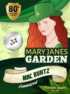 Mac Runtz Strain Feminized