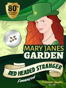 Red Headed Stranger Strain Feminized