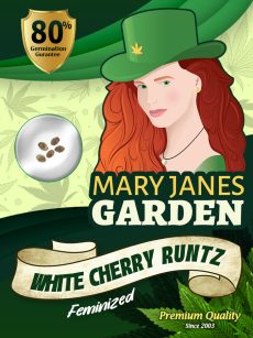 White Cherry Runtz Strain Feminized