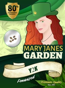 Y2K Strain Feminized