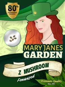 Z Strain Mushroom Feminized