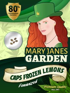 Caps Frozen Lemons Strain Feminized