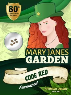 Code Red Strain Feminized